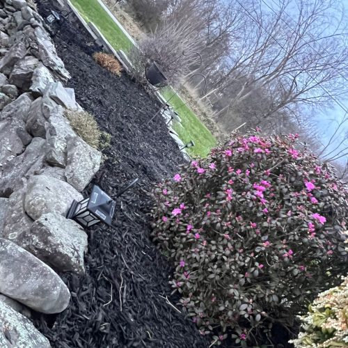 Landscaping5