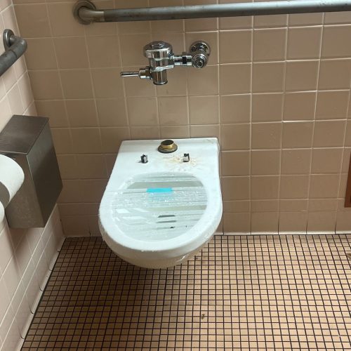 Toilet Repairs2